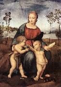 RAFFAELLO Sanzio Madonna del Cardellino ert oil on canvas